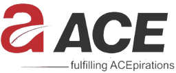 Authorized Partner Badge